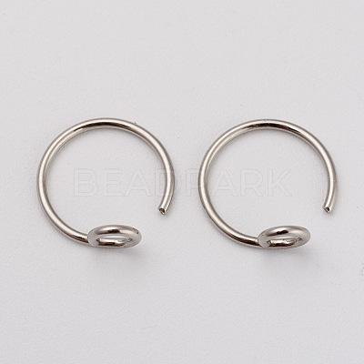 Tarnish Resistant 316L Surgical Stainless Steel Earring Hooks X-STAS-G229-04P-1