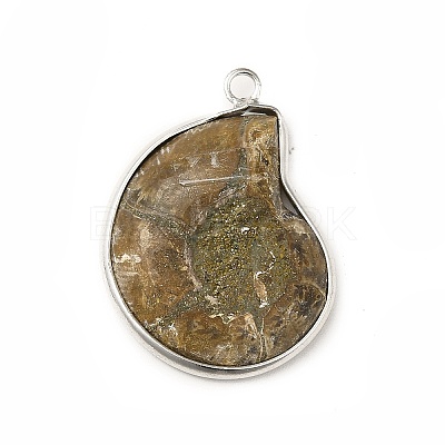 Natural Conch Fossil Pendants BSHE-E025-02P-1