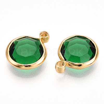 K9 Glass Charms GLAA-T023-37A-06-1