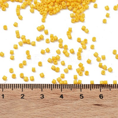 Baking Paint Glass Seed Beads X-SEED-S042-05B-82-1