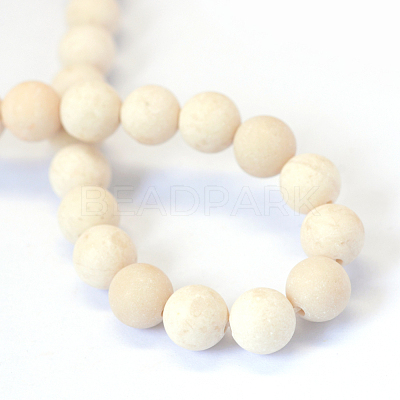 Frosted Natural Fossil Round Bead Strands X-G-E334-8mm-22-1