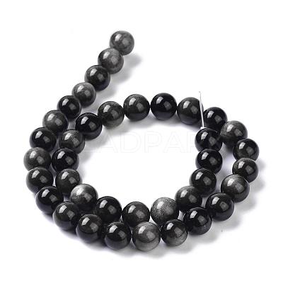 Natural Silver Obsidian Beads Strands G-D083-01C-1