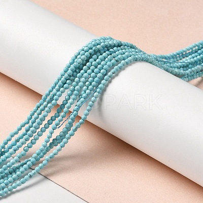 Natural Howlite Beads Strands G-C025-03A-01-1