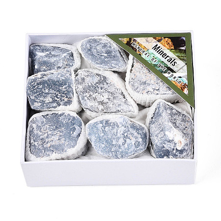Natural Angelite Display Decorations G-N347-11B-1