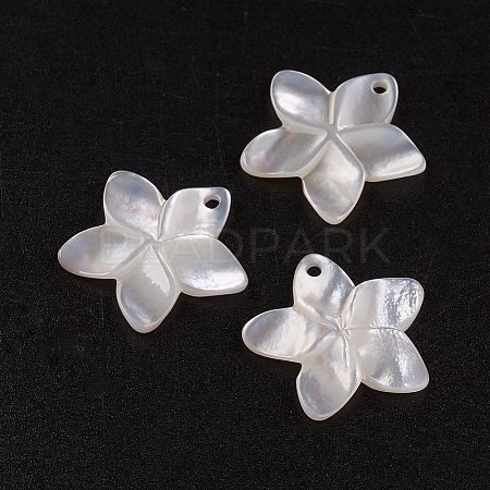 Natural White Shell Mother of Pearl Shell Pendants SSHEL-G014-60-1