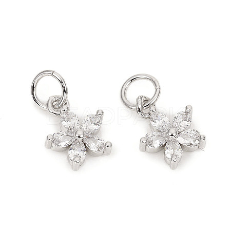 Brass Micro Pave Cubic Zirconia Charms LS-ZIRC-L096-10P-1