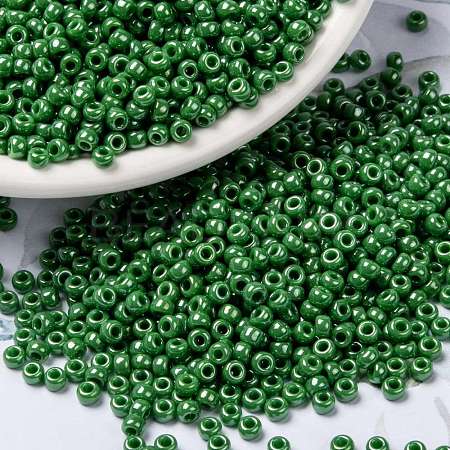 MIYUKI Round Rocailles Beads SEED-X0055-RR0431-1