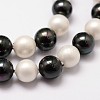 Shell Pearl Bead Strands BSHE-L017-13-3