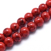 Sea Shell and Synthetic Turquoise Assembled Beads Strands G-G758-11-10mm-1