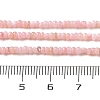 Natural Freshwater Shell Beads Strands SHEL-P017-01A-09-4
