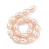 Natural Cultured Freshwater Pearl Beads Strands PEAR-P062-10G-3