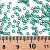 12/0 Grade A Round Glass Seed Beads SEED-Q007-F51-3