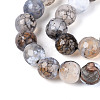 Dyed & Heated Natural Fire Crackle Agate Beads Strands G-N359-01A-03-4
