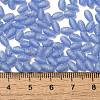 Transparent Colours Glass Seed Beads SEED-F006-03A-09-4