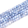 Dyed Natural Trochid Shell/Trochus Shell Beads Strands SSHEL-T017-13M-2