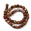 Natural Petrified Wood Beads Strands G-L621-C11-02-3