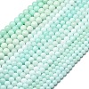 Natural Malaysia Jade Beads Strands G-L645-A01-10mm-31-3