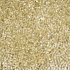 Baking Paint Transparent Glass Seed Beads SEED-N006-05B-3