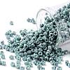 TOHO 8/0 Round Beads X-SEED-TR08-1207-1