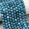 Natural Apatite Bead Strands G-P204-09-7mm-1-1