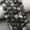 Natural Tree Agate Beads Strands X-G-T106-038-5