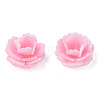 Plastic Beads LS-KY-N015-197C-3