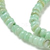 Dyed Natural Freshwater Shell Beads Strands BSHE-G039-07E-3