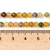 Natural Agate Beads Strands G-H302-A01-14-3