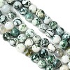 Natural Tree Agate Beads Strands X-G-K194-8mm-02-2
