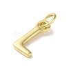 Rack Plating Brass Charms KK-P245-06G-L-2