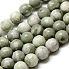 Natural Peace Jade Beads Strands G-Q462-50-8mm-4