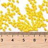 Opaque Glass Seed Beads SEED-S042-22B-02-4