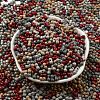 Opaque Baking Paint Glass Seed Beads SEED-K009-01A-30-2