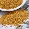 MIYUKI Delica Beads SEED-J020-DB2285-1
