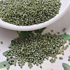 MIYUKI Delica Beads SEED-J020-DB0263-1