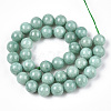 Natural Myanmar Jade/Burmese Jade Beads Strands G-T064-22-10mm-2