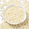 Baking Paint Glass Seed Beads X1-SEED-B001-02A-06-2