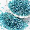 6/0 Round Glass Seed Beads X-SEED-J011-F6-179-1