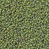 MIYUKI Round Rocailles Beads SEED-G007-RR4515-3