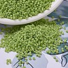 MIYUKI Delica Beads X-SEED-J020-DB0733-1