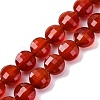 Natural Carnelian(Dyed & Heated) Beads Strands G-C179-A29-03-2