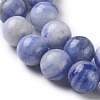 Natural Sodalite beads Strands G-F665-01-10mm-2