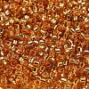 Glass Seed Beads SEED-S042-04A-11-3