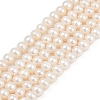 Natural Cultured Freshwater Pearl Beads Strands PEAR-I007-07X-13D-2