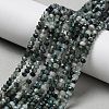 Natural Moss Agate Beads Strands G-C228-A01-2x3mm-1