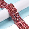 Natural Rhodonite Beads Strands G-C009-A19-2