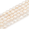Natural Cultured Freshwater Pearl Beads Strands PEAR-P064-20G-01A-2