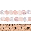 Electroplate Glass Beads Strands X-EGLA-N022-03A-A08-4