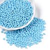 Baking Paint Glass Seed Beads SEED-T006-03I-3