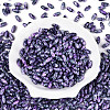 Baking Paint Glass Seed Beads SEED-N008-06F-2
